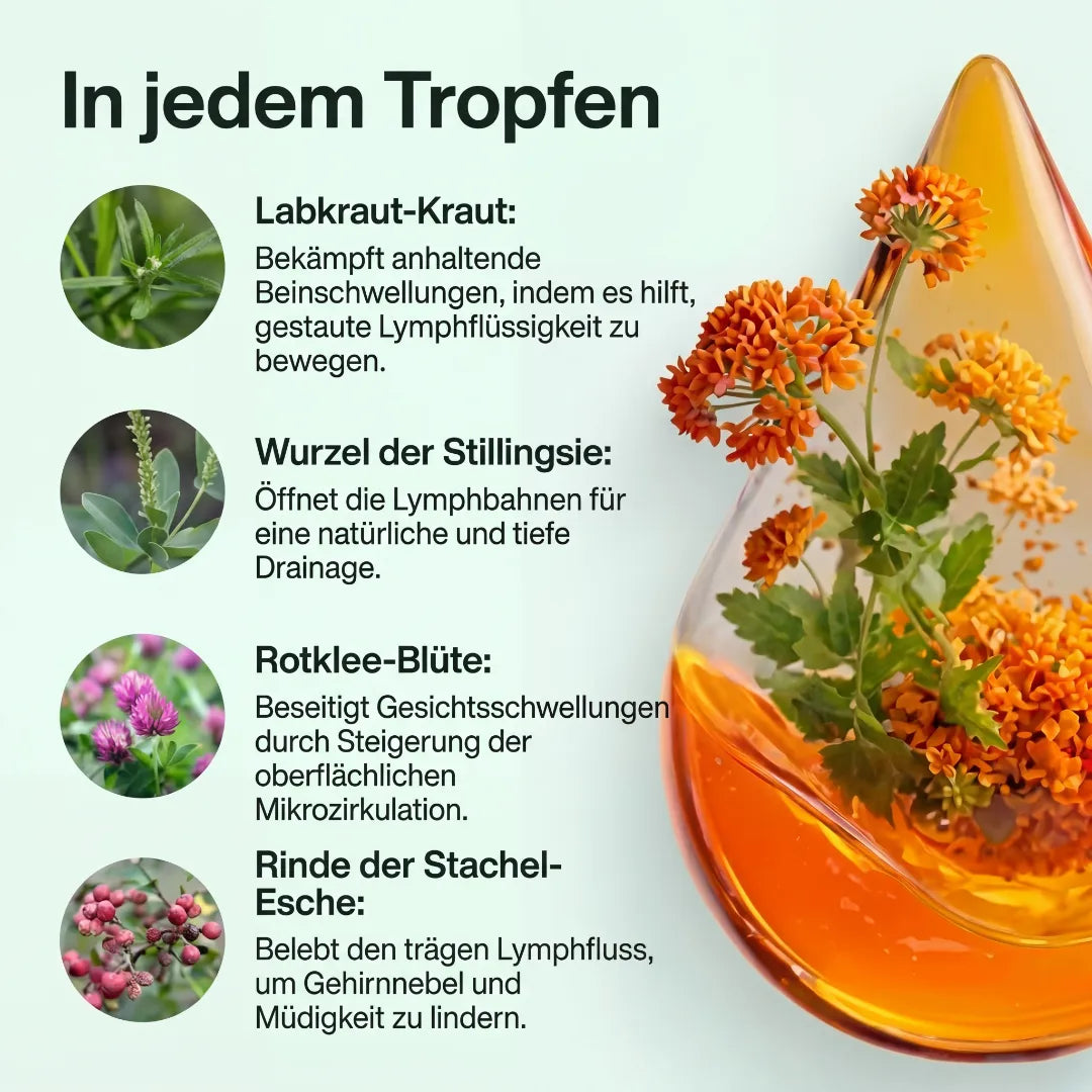 Drena+ Flüssige Lymphpflege