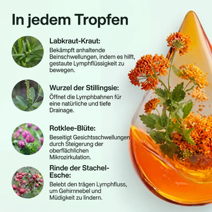 Drena+ Flüssige Lymphpflege
